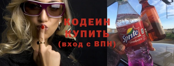 ECSTASY Богданович