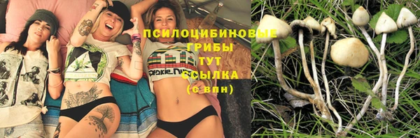 эйфоретик Белокуриха