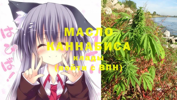 ECSTASY Богданович