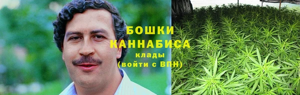 ECSTASY Богданович