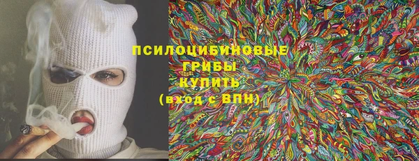 ECSTASY Богданович